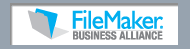 FileMaker Developer